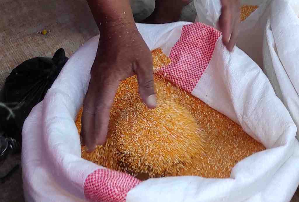 BERAS MILU
