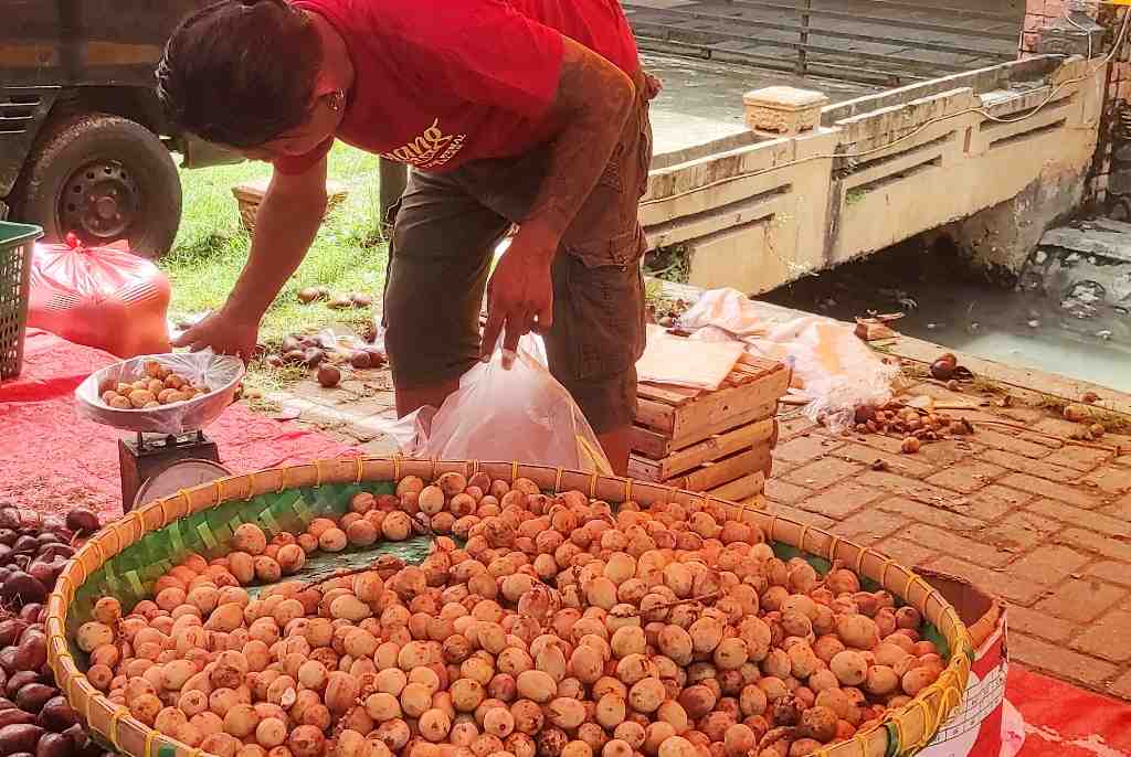 BUAH LANGSAT