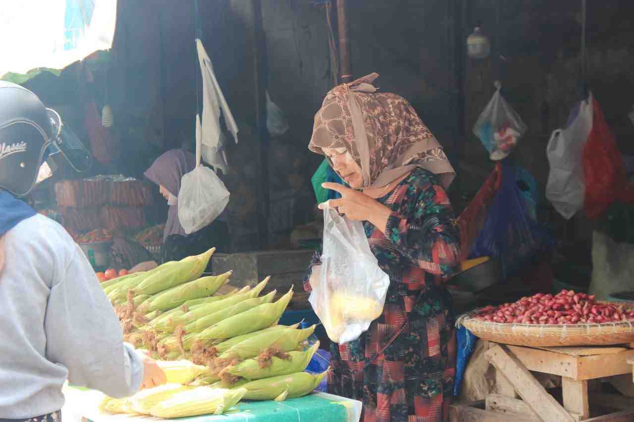 PERMINTAAN JAGUNG MANIS MENINGKAT