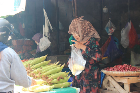 PERMINTAAN JAGUNG MANIS MENINGKAT