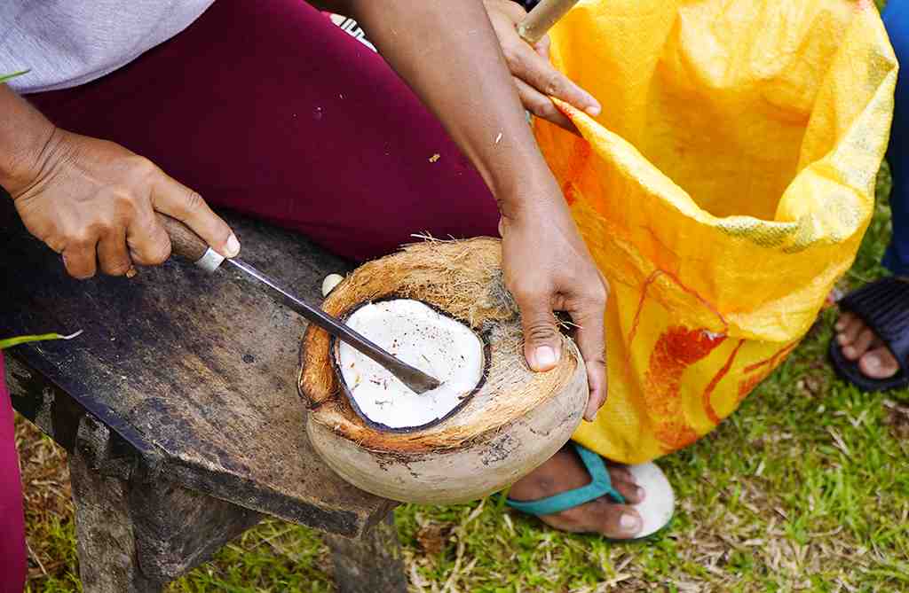 CUNGKIL DAGING KELAPA