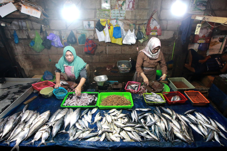 PERMINTAAN IKAN LAUT MENINGKAT