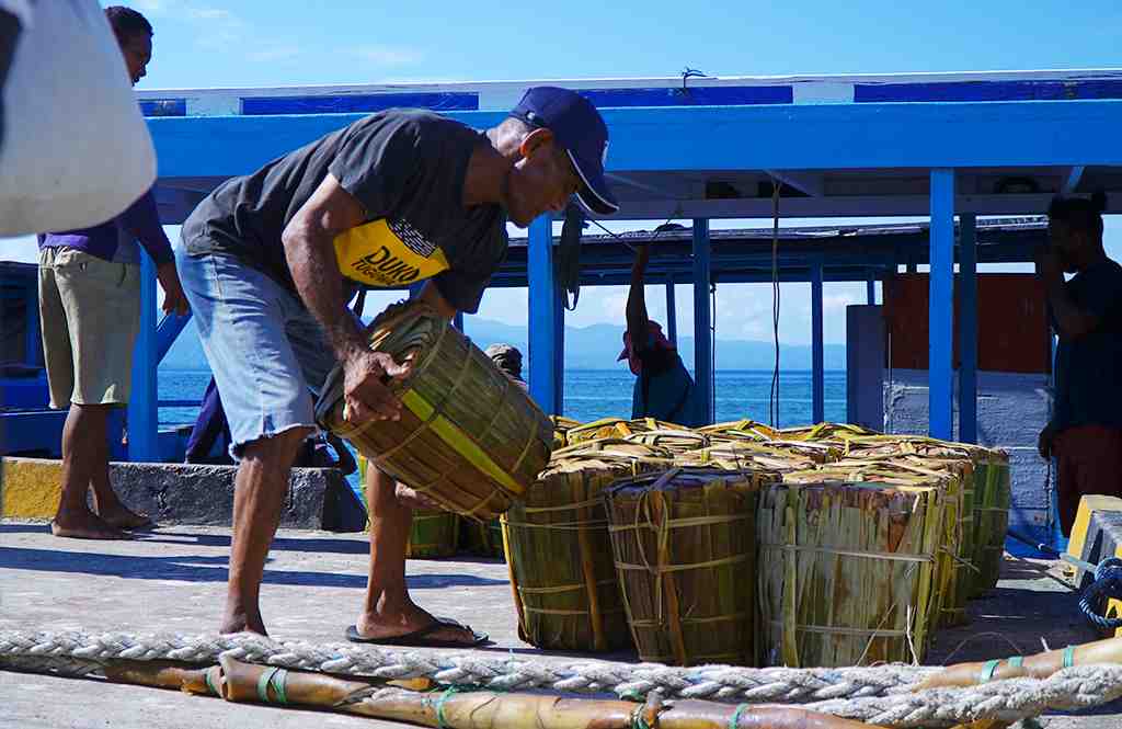 BURUH ANGKUT SAGU TUMANG