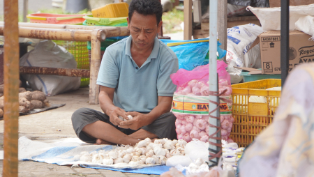 KUPAS BAWANG PUTIH