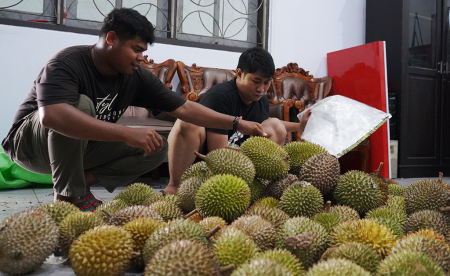 HITUNG JUMLAH DURIAN