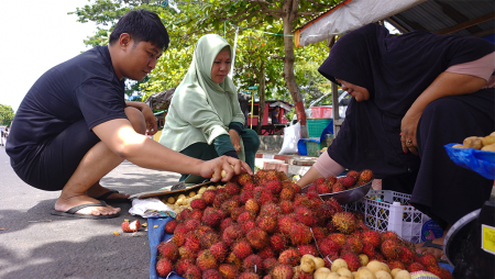 PILIH BUAH RAMBUTAN DAN LANGSAT