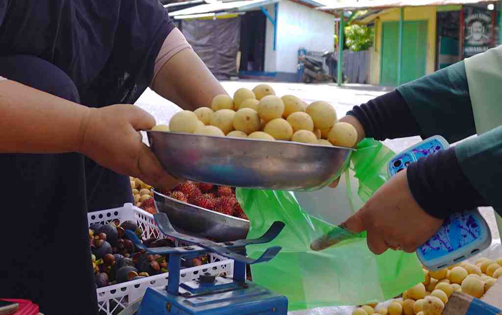 BUAH LANGSAT HALMAHERA