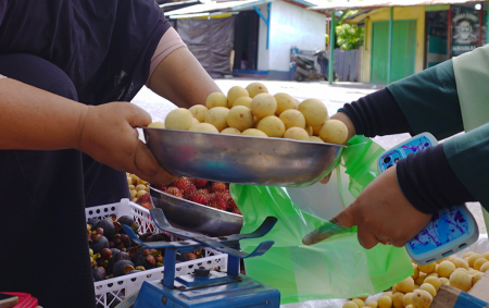 BUAH LANGSAT HALMAHERA