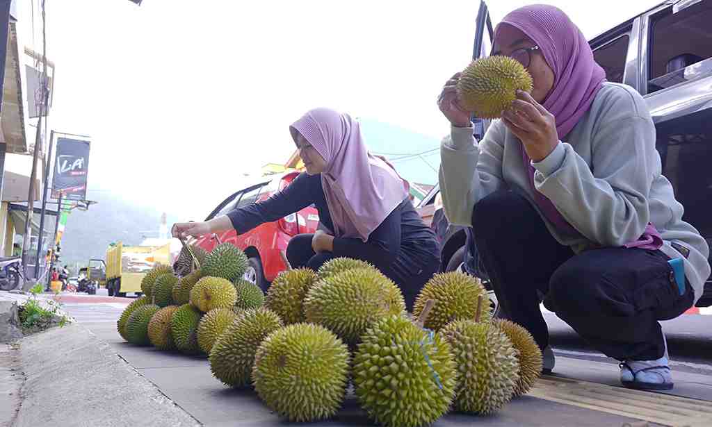 MAKAN DURIAN GRATIS