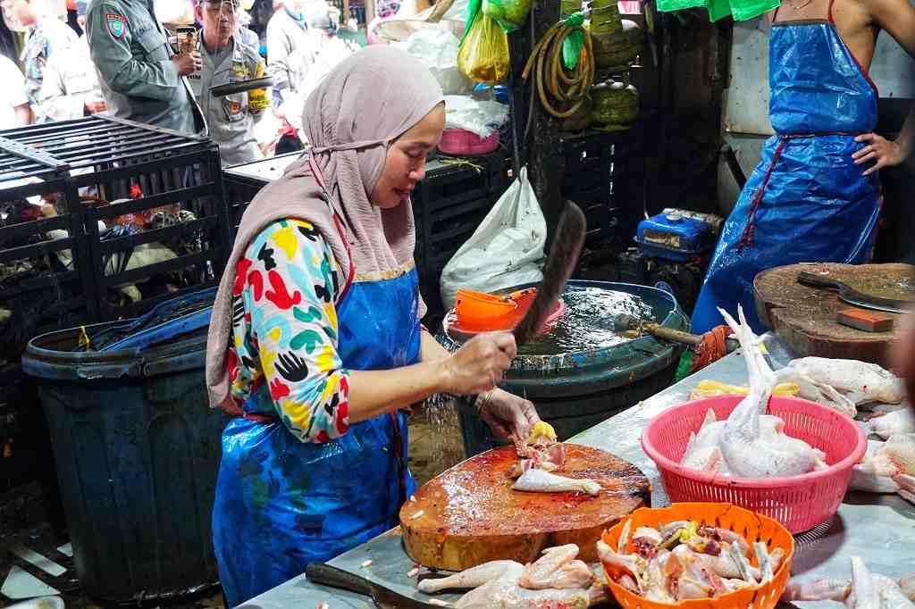HARGA DAGING AYAM KAMPUNG NAIK