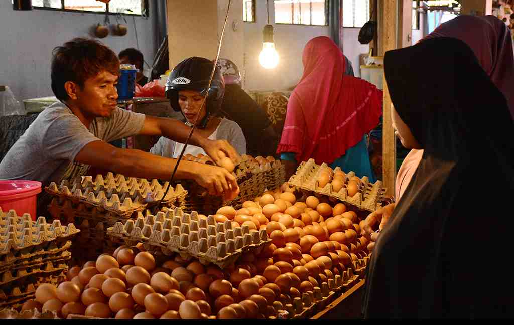HARGA TELUR di TIDORE STABIL
