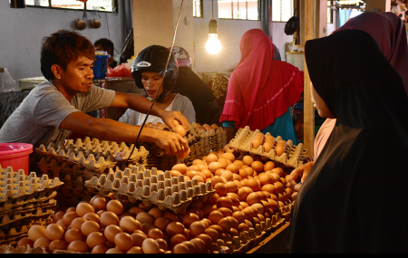 HARGA TELUR di TIDORE STABIL