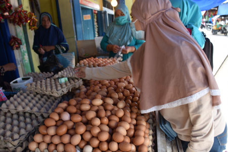 KENAIKAN HARGA TELUR DI TIDORE