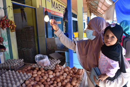 TERAWANG TELUR AYAM RAS