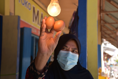 CEK KUALITAS TELUR
