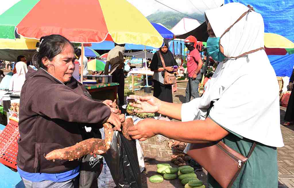 MEMBELI SINGKONG HALMAHERA