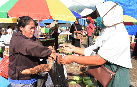 MEMBELI SINGKONG HALMAHERA