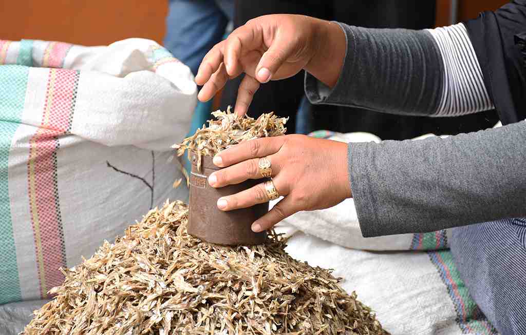 IKAN TERI KERING
