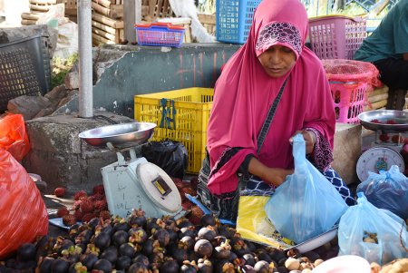 PEDAGANG BUAH MANGGIS