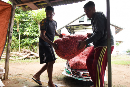 HARGA BAWANG MERAH NAIK