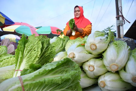 PEDAGANG SAYUR SAWI