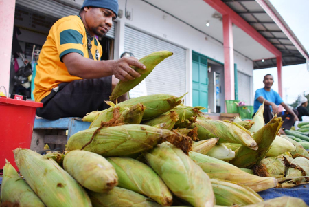 PEDAGANG JAGUNG MANIS 