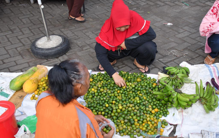 HARGA LEMON CUI NAIK