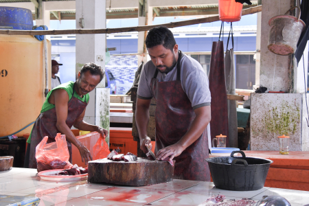 POTONG IKAN CAKALANG