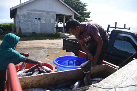 PILIH IKAN SEGAR