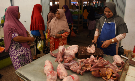PEDAGANG AYAM BROILER
