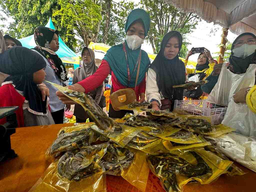 PILIH IKAN LELE