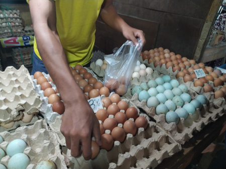 HARGA TELUR AYAM DI BANJARMASIN STABIL