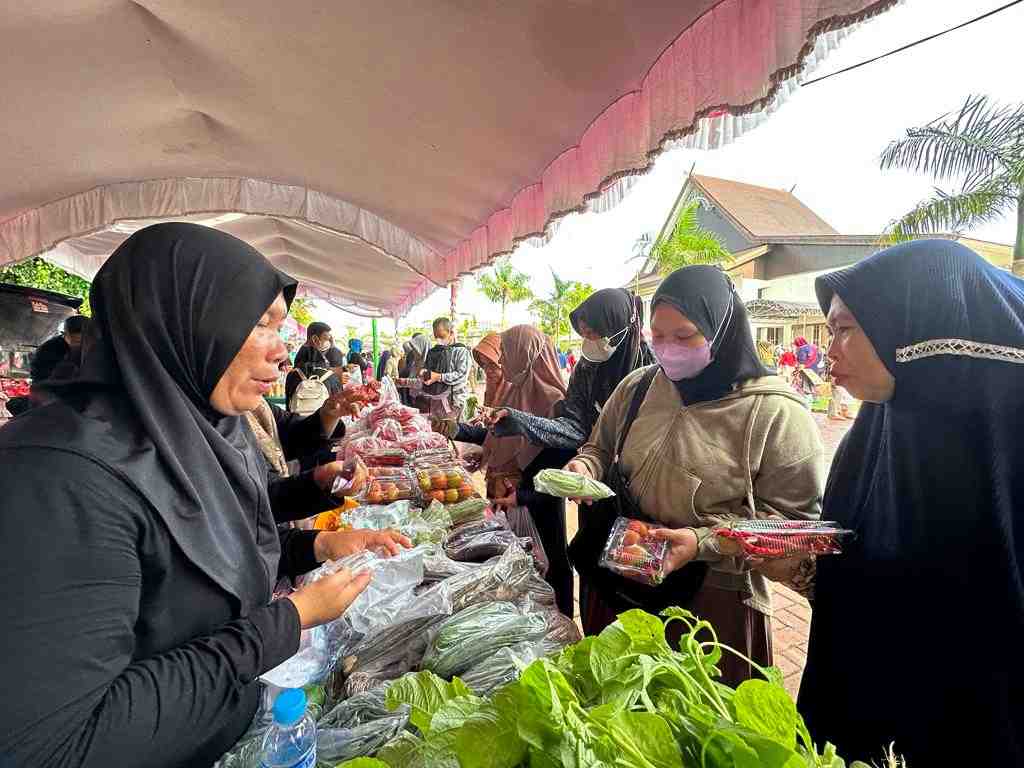 JUAL CABAI DAN TOMAT