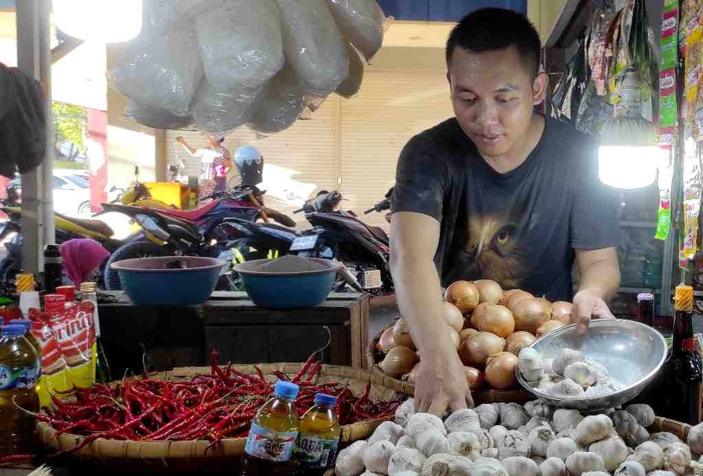 HARGA BAWANG PUTIH STABIL