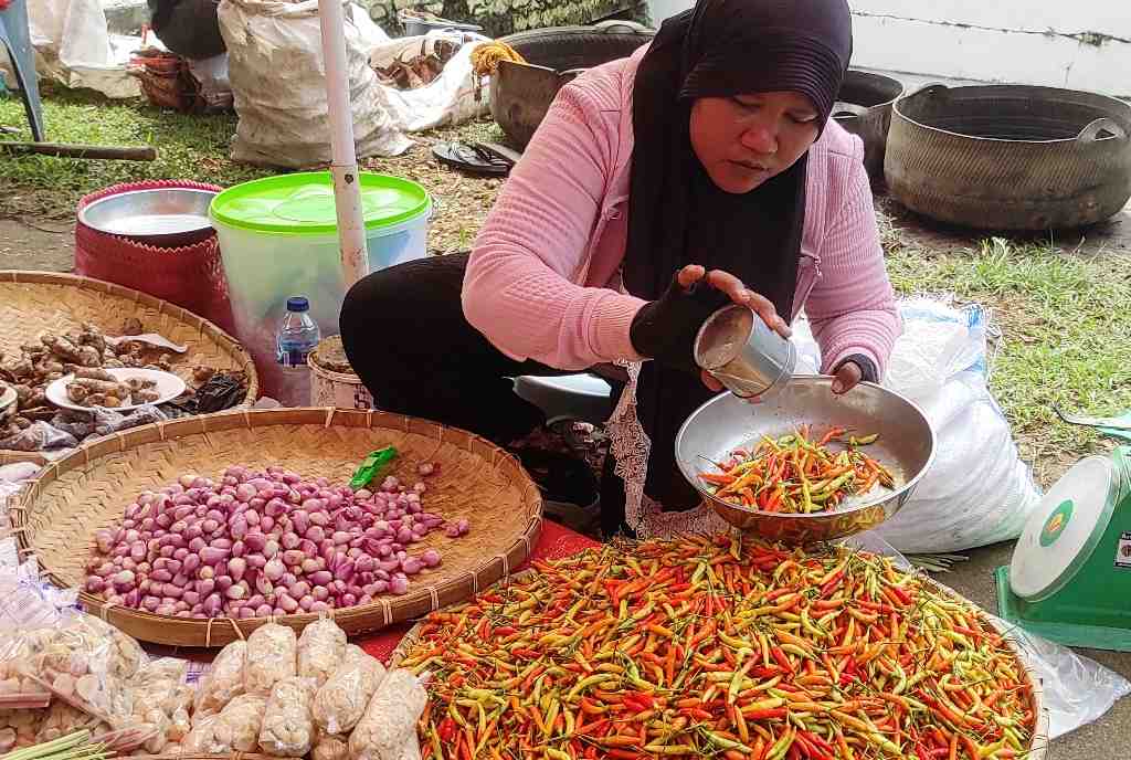 HARGA CABAI TURUN