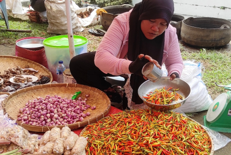 HARGA CABAI TURUN