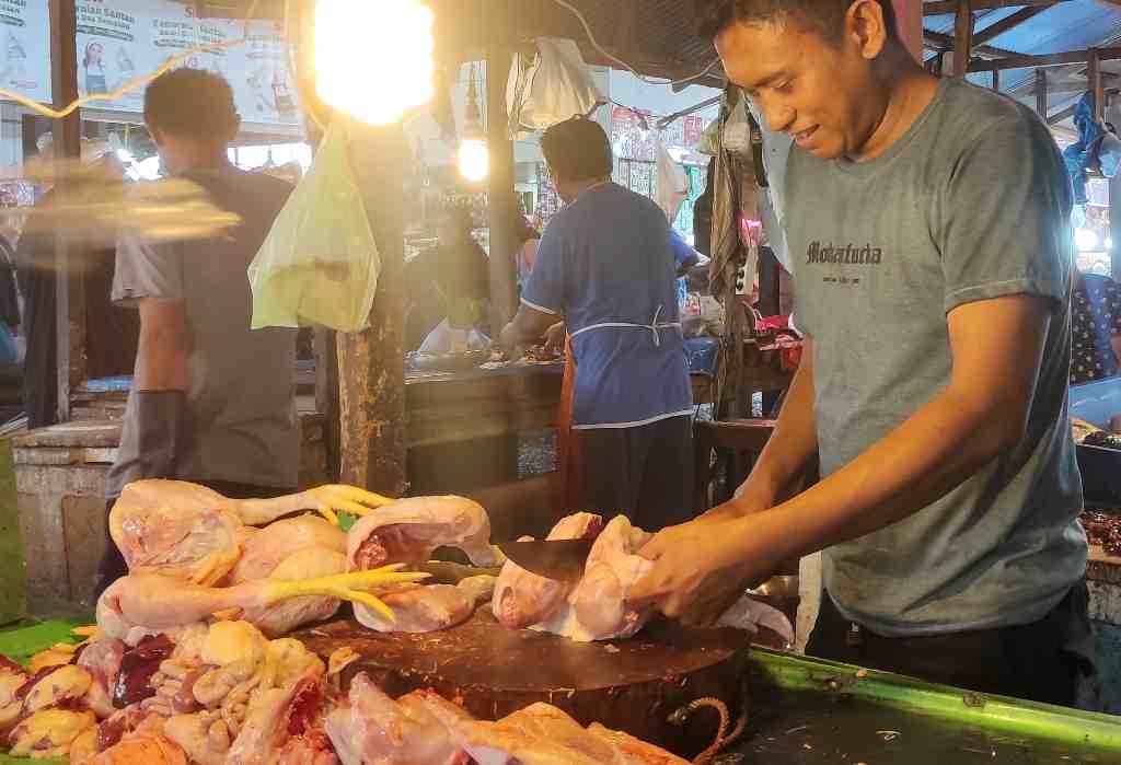 HARGA DAGING AYAM di GORONTALO