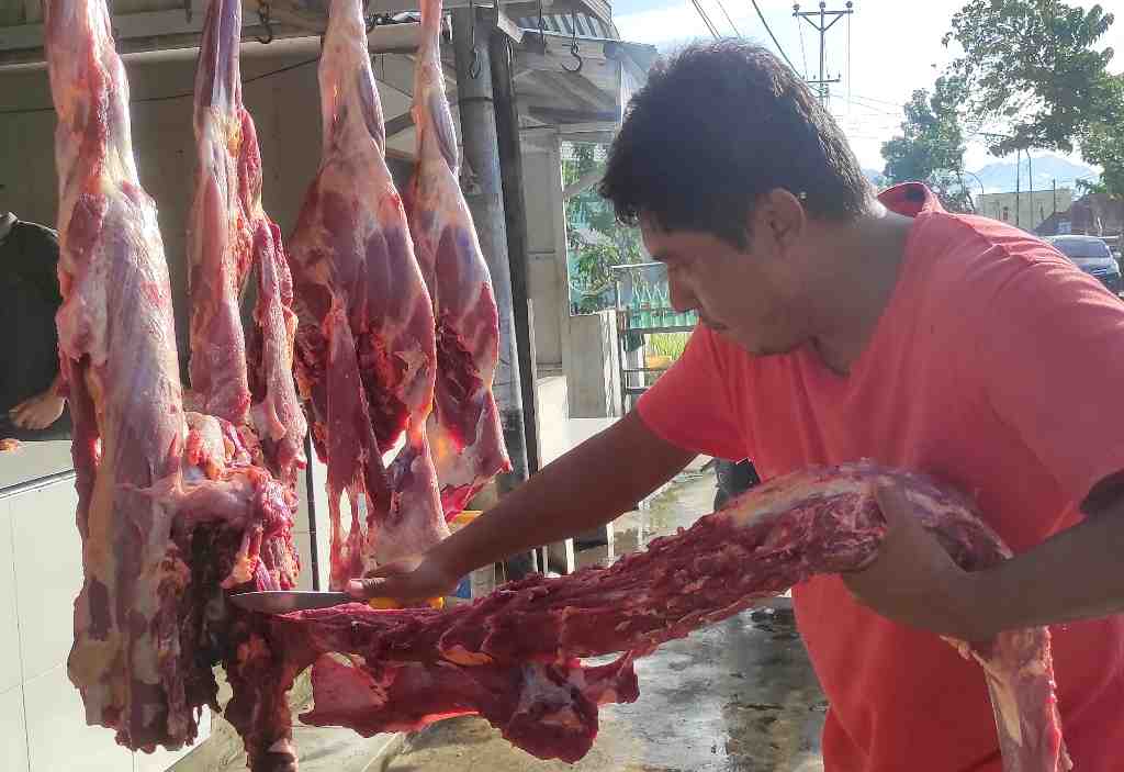 HARGA DAGING SAPI di GORONTALO