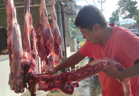 HARGA DAGING SAPI di GORONTALO
