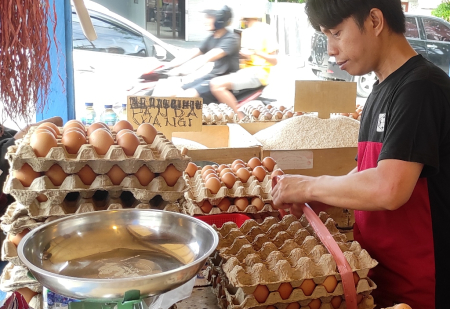 HARGA TELUR STABIL