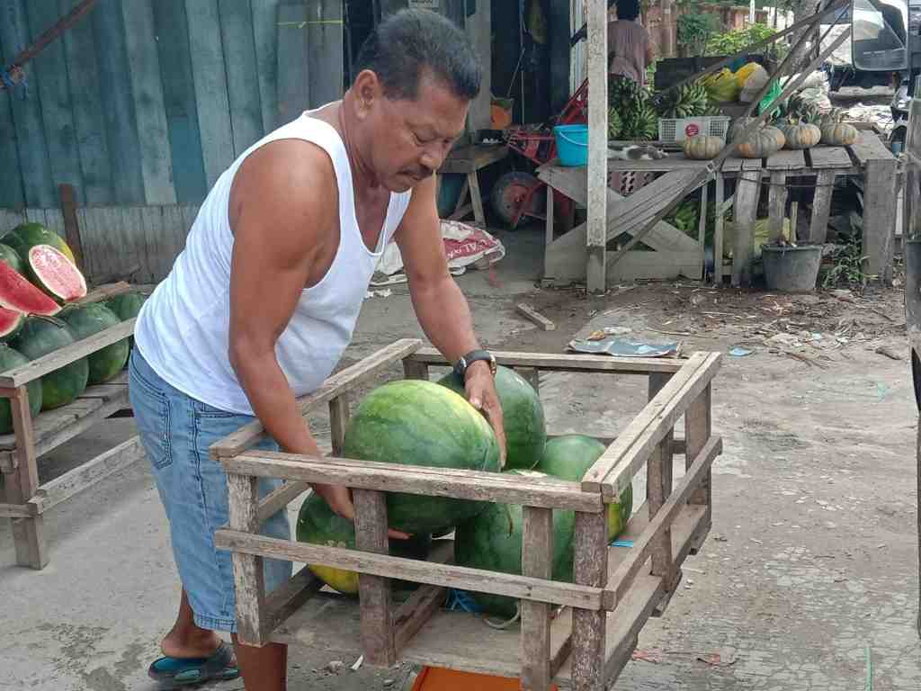 ANGKAT BUAH SEMANGKA