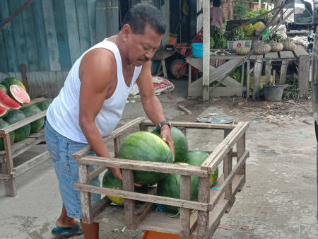 ANGKAT BUAH SEMANGKA