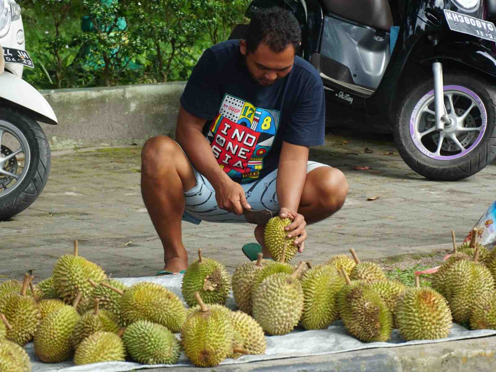 PEDAGANG DURIAN