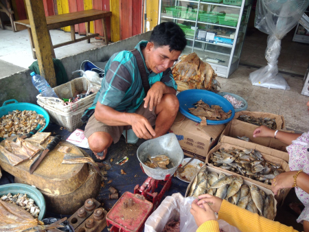 TIMBANG IKAN ASIN