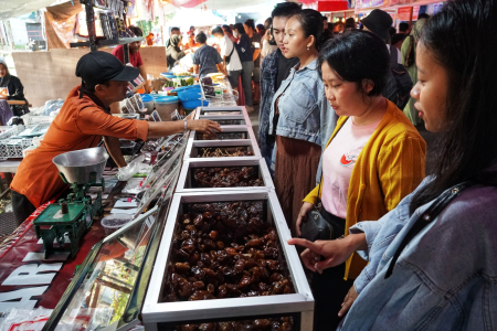 MEMILIH BUAH KURMA