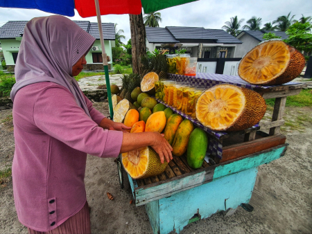 MENATA BUAH-BUAHAN