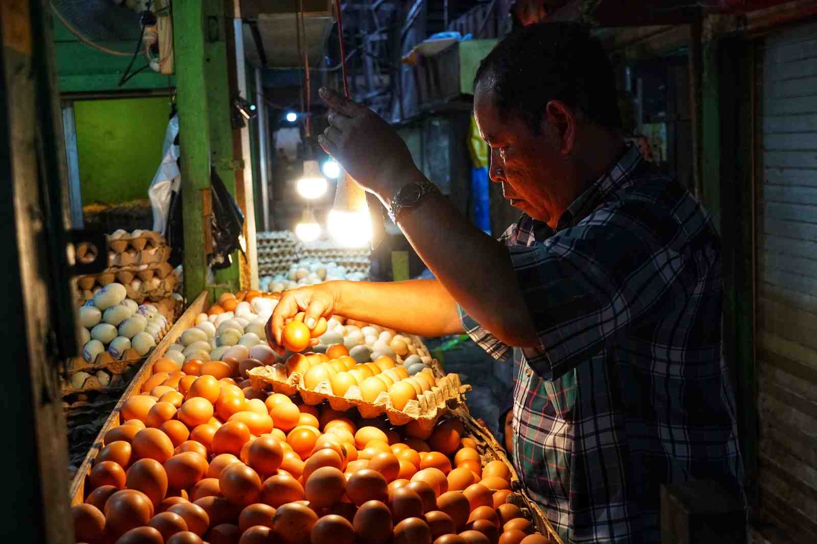 HARGA TELUR AYAM RAS STABIL