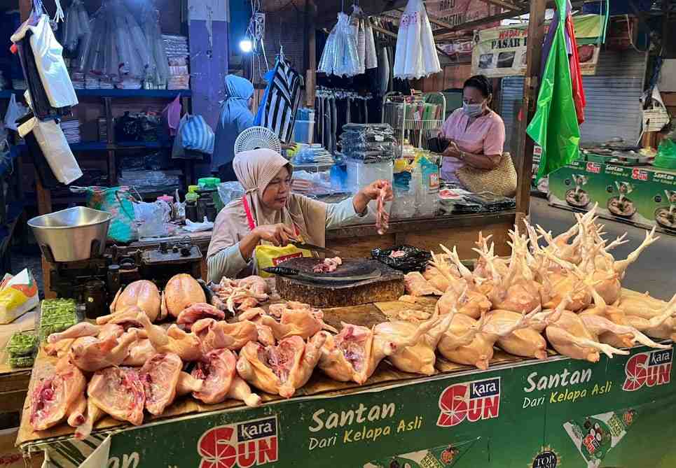PENJUAL AYAM POTONG