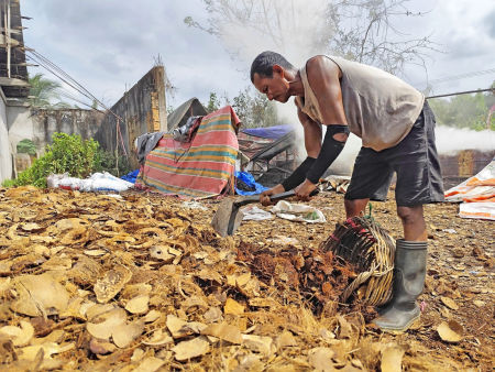 MASUKKAN TERMPURUNG KELAPA