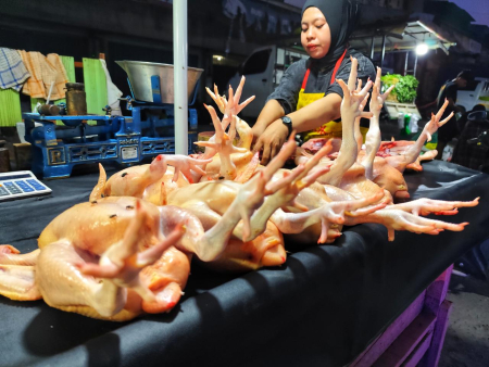 HARGA DAGING AYAM STABIL